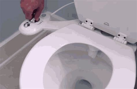 bidet gif|More.